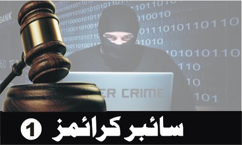 Cyber Crimes (Part 1)